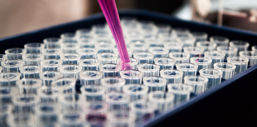 Pikralida i US Navy łączą siły w walce z ukąszeniami jadowitych węży