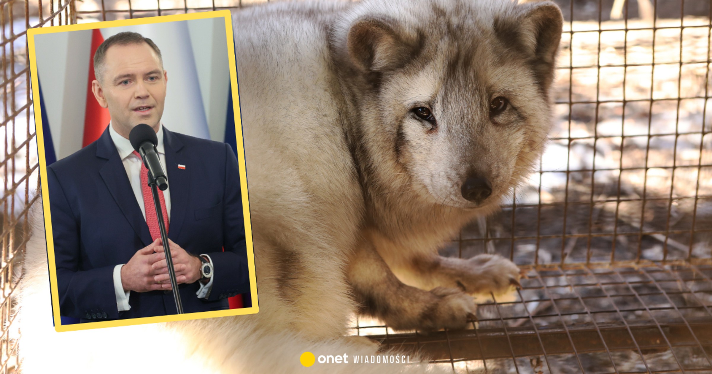 Doradca Karola Nawrockiego będzie rekomendował mu weto. „Wszyscy na to liczą”