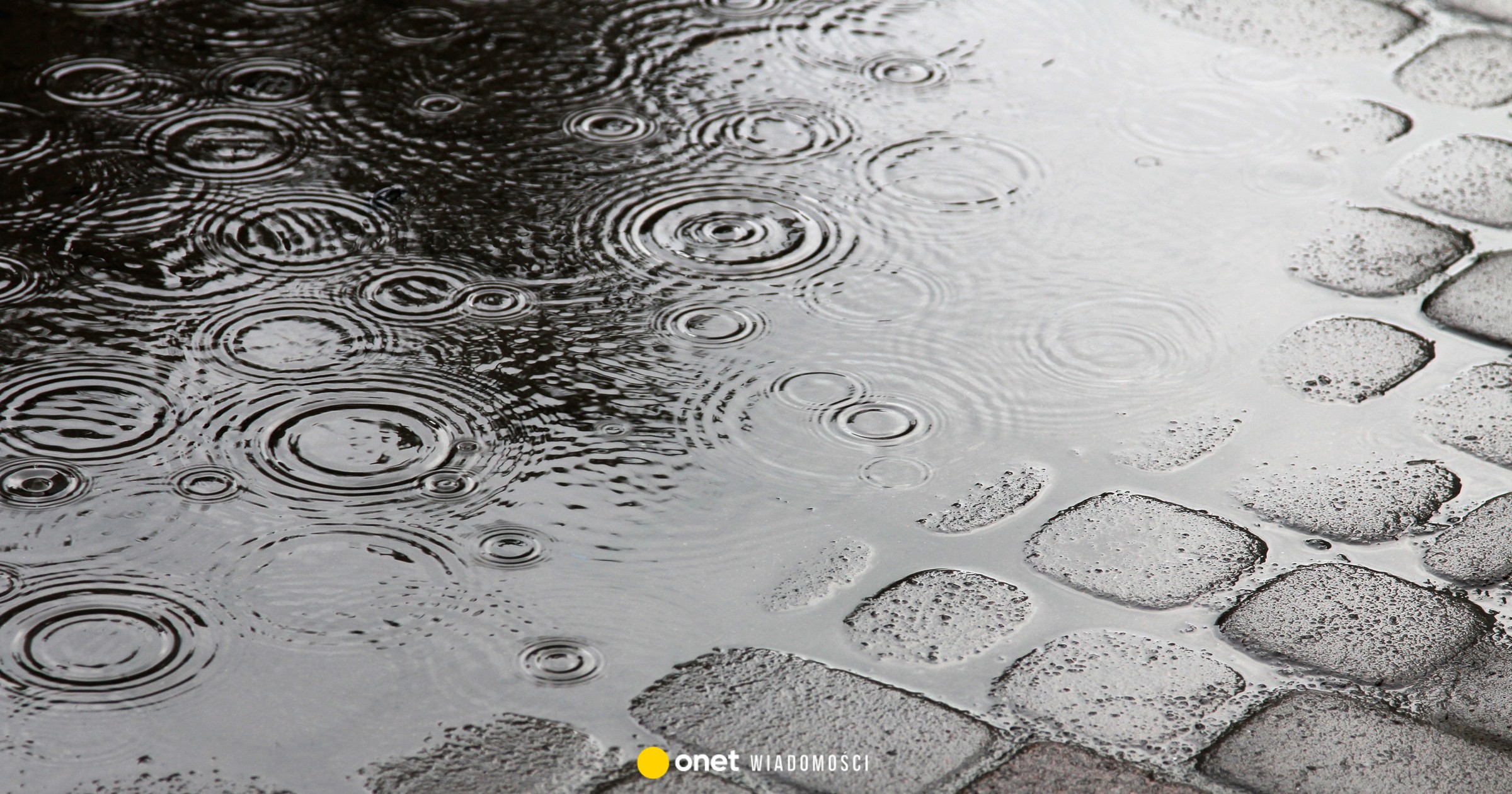 Zielona Góra – 03.11.2025. Pogoda na dziś