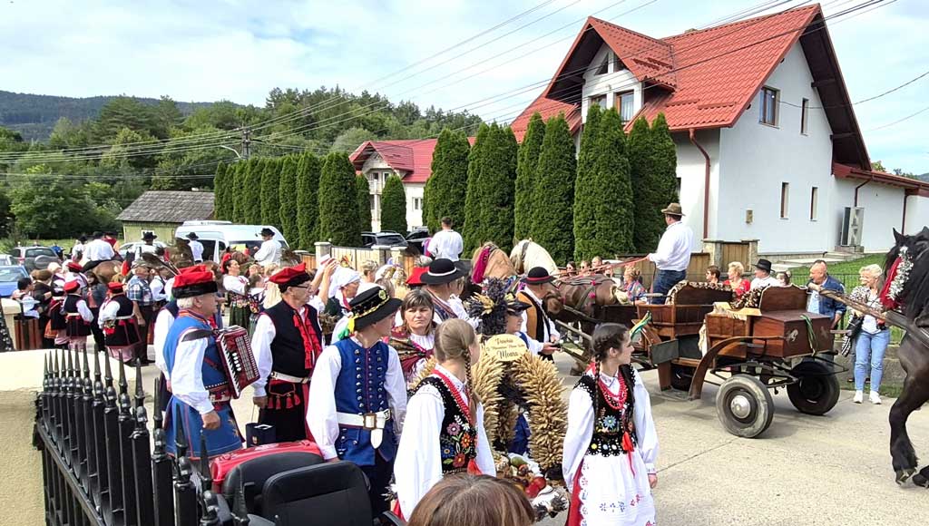 Między kulturą a historią