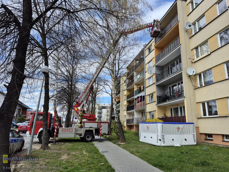 Brzesko. Pożar mieszkania w bloku przy ul. Partyzantów. 14-latek ewakuował się sam