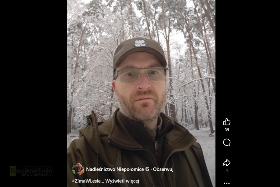 Leśnicy ostrzegają spacerowiczów: mokry śnieg obciąża drzewa w Puszczy Niepołomickiej