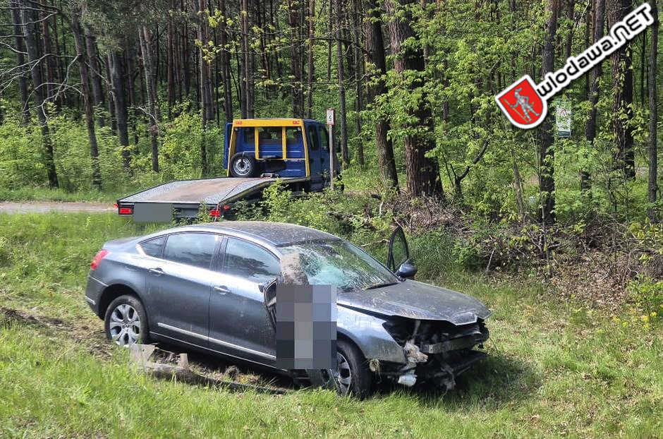 Włodawa na sygnale: Leśny zwierz przyczyną wypadku w Adampolu