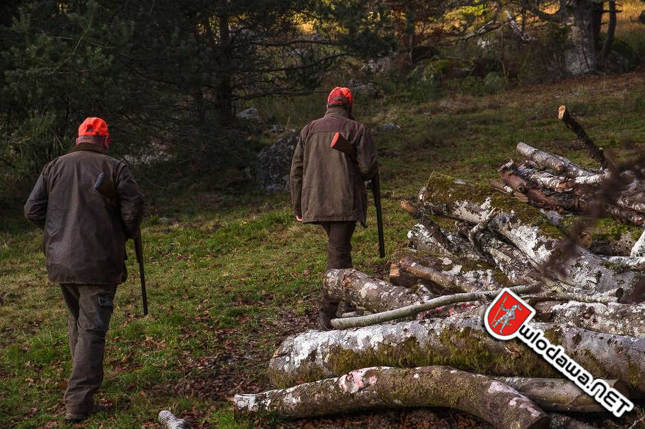 Wyryki: Myśliwi po polowaniu tropili zaginionego naganiacza