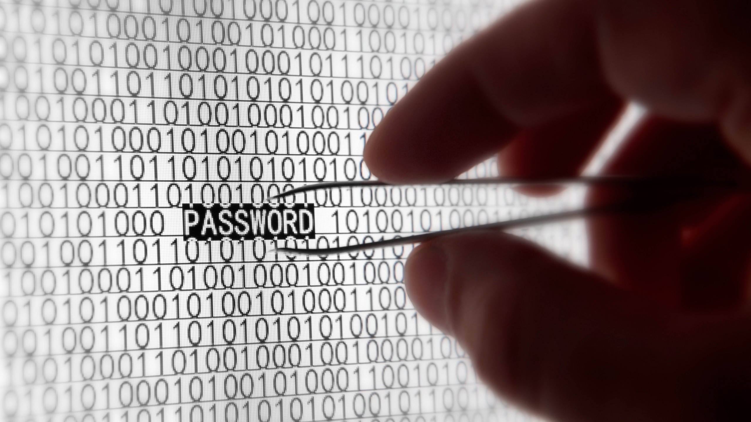 Raport Sophos: Inwestycje w bezpieczeństwo tożsamości nie mogą czekać