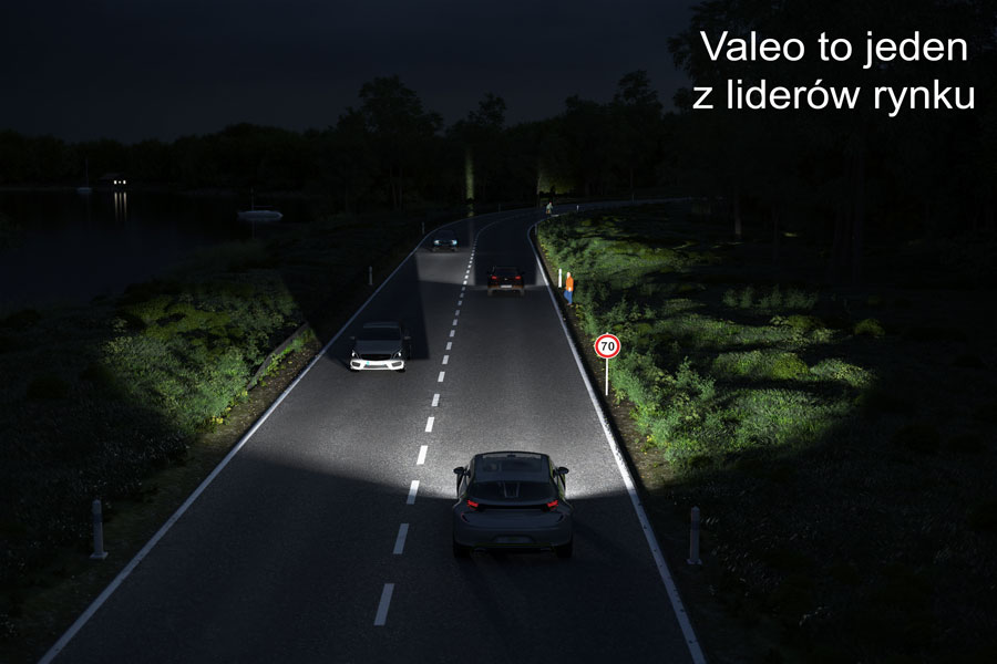 Widzieć i być widzianym