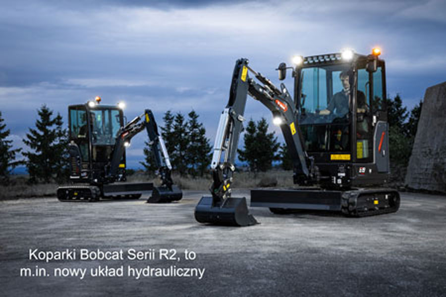 Gąsienicowe „miniaturki”