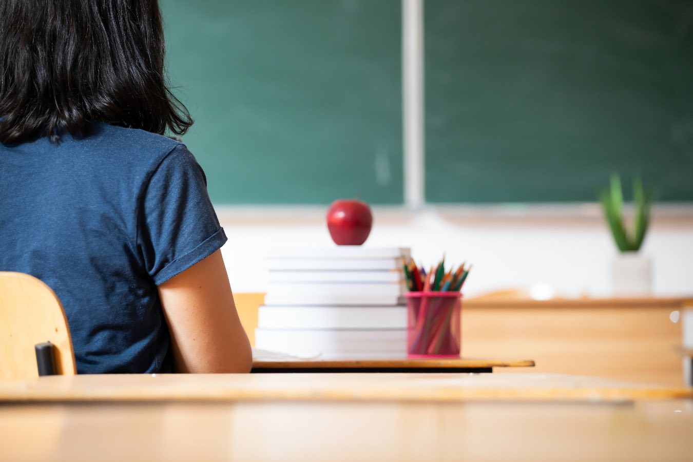 Jak sprawdzić rejon szkoły podstawowej? Wyszukiwarka dostępna jest w tym miejscu