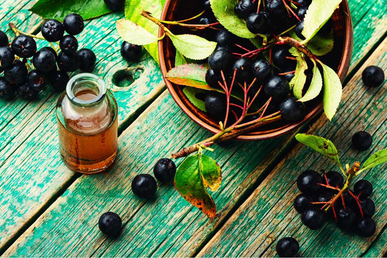 Jak zrobić sok z aronii żeby nie był cierpki? Poznaj sprawdzony sposób