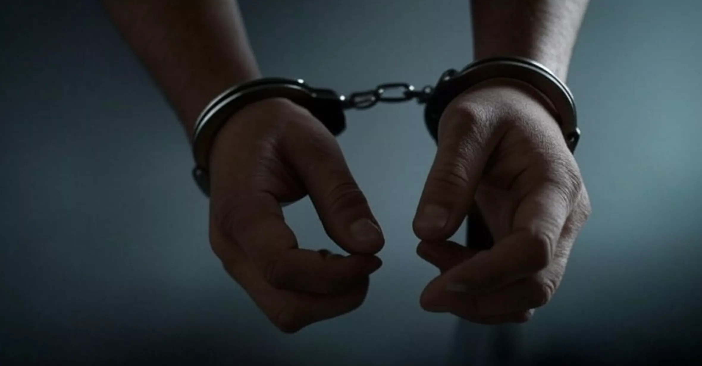 Zatrzymano właściciela psów, które zagryzły 46-latka. Prokuratura apeluje o zgłaszanie się świadków