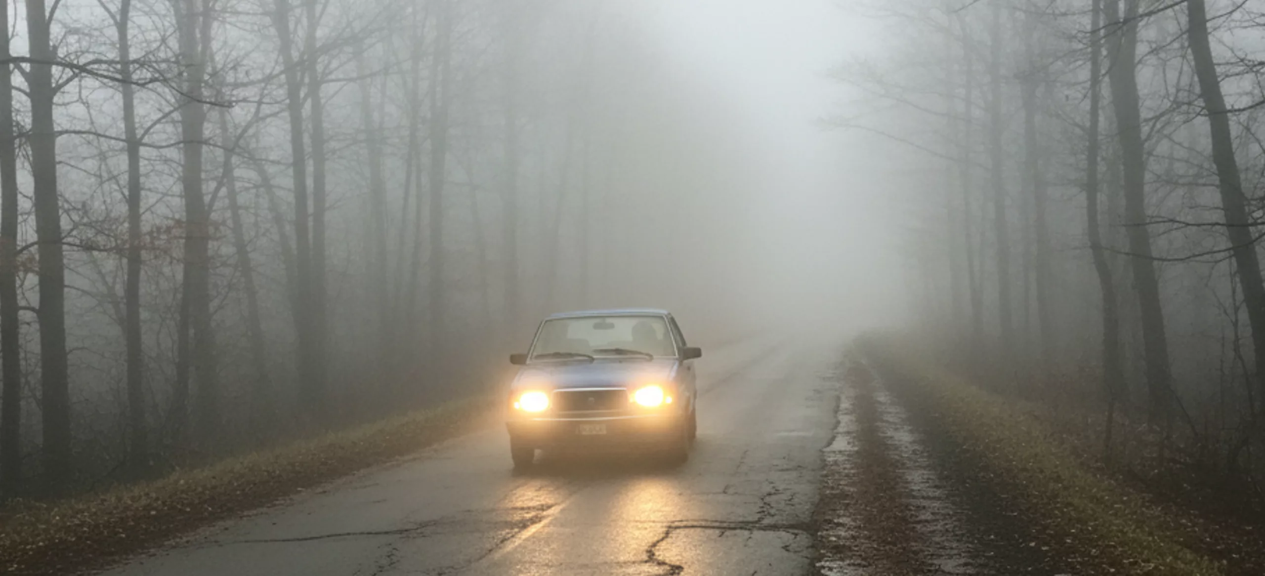 IMGW ostrzega: Gęsta mgła nad całym województwem zachodniopomorskim