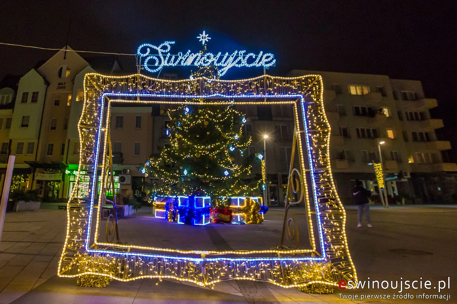 Mikołajki na Placu Wolności: alpaki, VR, prezenty i choinka w blasku świateł