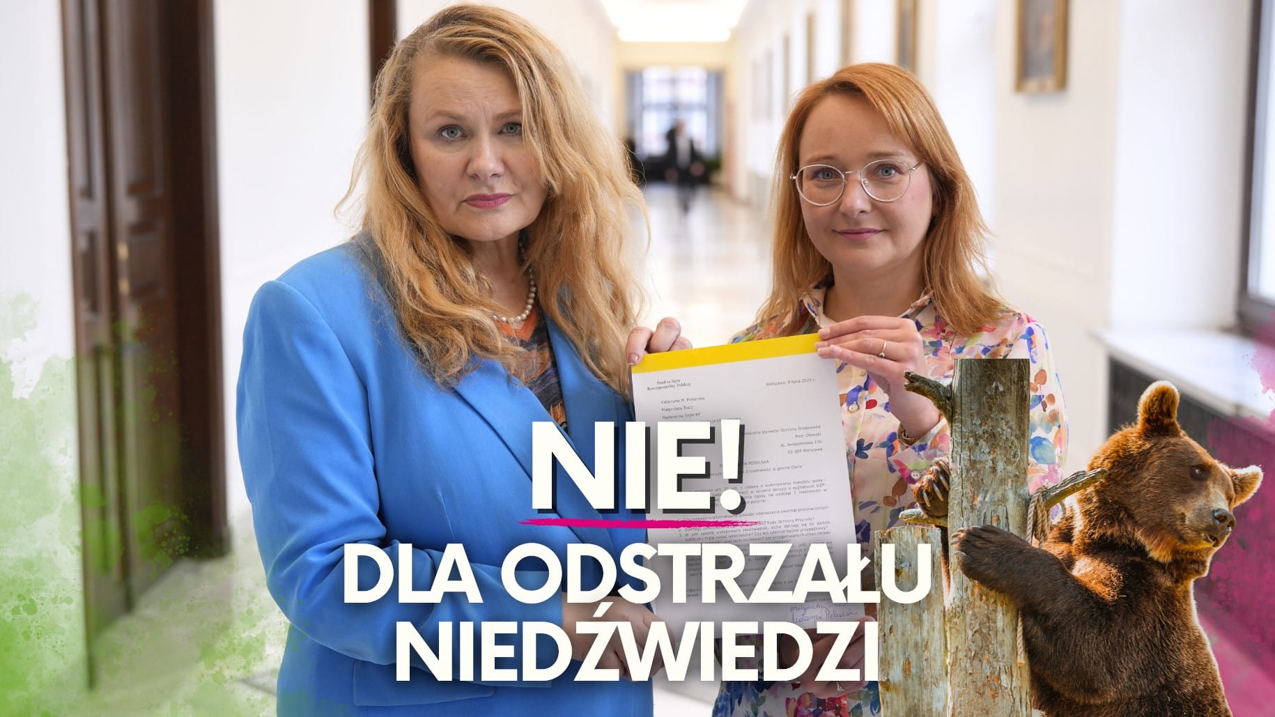 Interwencja poselska w sprawie decyzji o odstrzale 3 niedźwiedzi w gminie Cisna