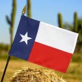 Teksas wprowadza House Bill 186, czyli zakaz korzystania z mediów społecznościowych dla nieletnich z weryfikacją wieku