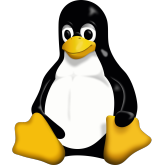 Linux kernel 6.16 rc4 - kolejna odsłona jądra systemu w wersji beta. Poprawki sterowników, stabilności oraz systemów plików