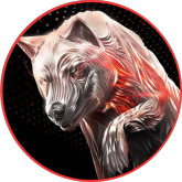 Koniec ery małych pojemności. Seagate wypuszcza 30 TB dyski twarde z laserową technologią HAMR dostępne za 600 dolarów