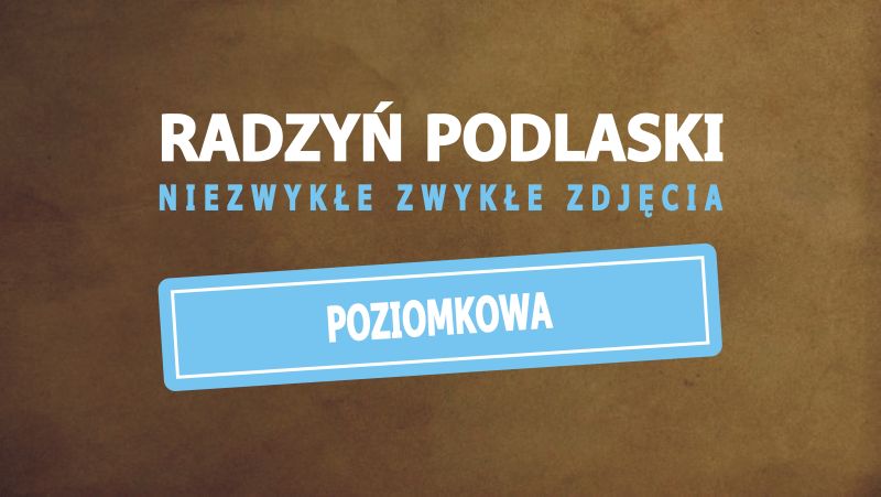 Ulica Poziomkowa w Radzyniu Podlaskim
