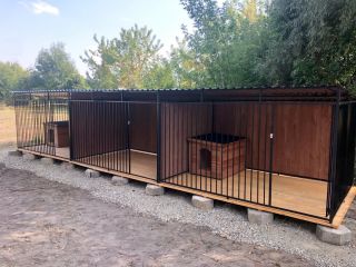 Powstał punkt tymczasowego zatrzymania zwierząt domowych