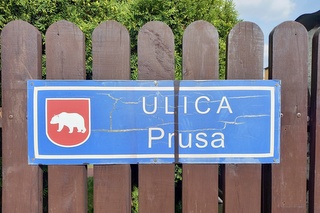 Spacerkiem po Radzyniu - ul. Bolesława Prusa