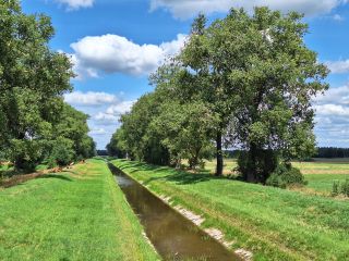 Kanał Wieprz-Krzna w powiecie radzyńskim
