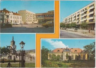 Trześnia – czereśnia, czyli kolejne radzynizmy Andrzeja Kowalskiego