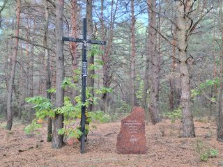 Echo dzwonu „Stanisław” z lasu na Poświątnym