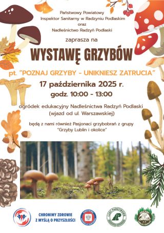 Wystawa grzybów w Radzyniu – poznaj grzyby, unikniesz zatrucia