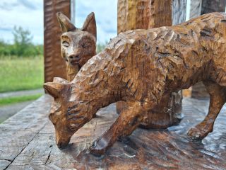 Wilki u stóp Matki Bożej w Niewęgłoszu