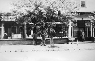 Radzyń Podlaski. Niezwykłe zwykłe historie (cz. 443)