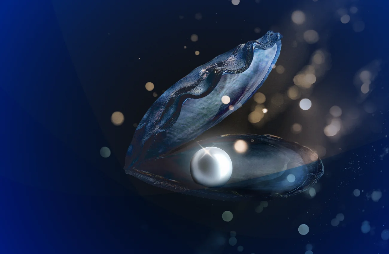 Zmiana postaw polskich konsumentów: świadome decyzje zakupowe i nowe oczekiwania wobec marek